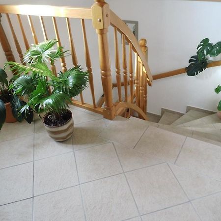 Ferienwohnung-Mund Drezno Zewnętrze zdjęcie