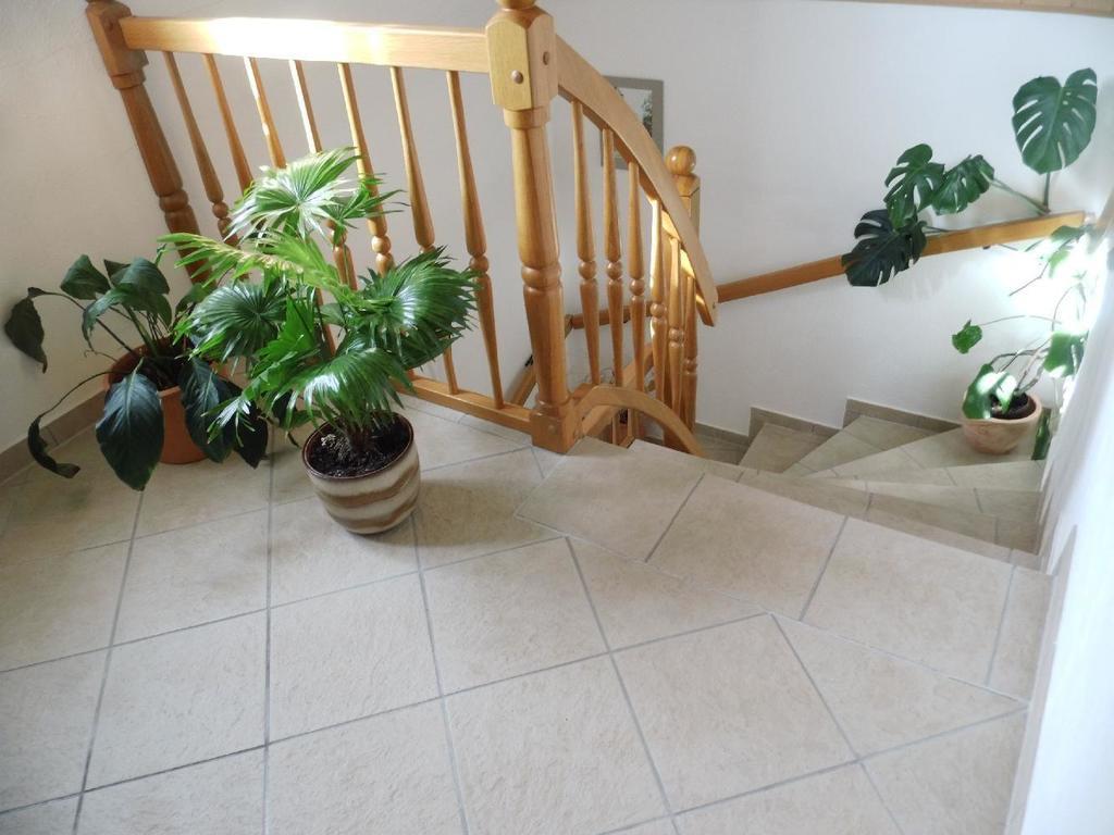 Ferienwohnung-Mund Drezno Zewnętrze zdjęcie